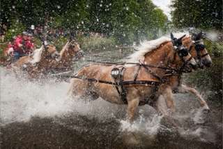 marathonfahrt vierspänner grosspferde donaueschingen 