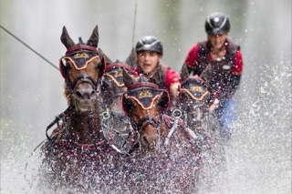 marathonfahrt vierspänner grosspferde donaueschingen 