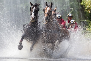 marathonfahrt vierspänner grosspferde donaueschingen 