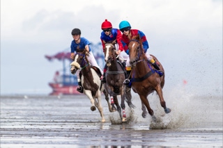 galopper beim duhner wattrennen