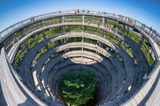 beumwipfelpfad bei prera auf rügen