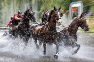 marathonfahrt vierspänner grosspferde donaueschingen 