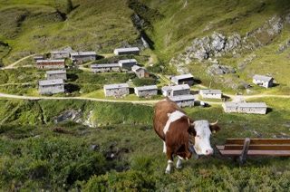 tirol: jagdalmen im defereggental